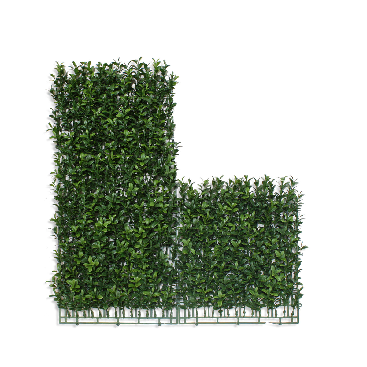 PP4036WMTA-OUTDOOR BOXWOOD WALL MAT WITH SOLID BACK.