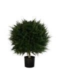 PP4037B - H MINI CYPRESS BALL TREE W/990LVS   (26"D)