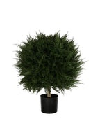 PP4037B - H MINI CYPRESS BALL TREE W/990LVS   (26"D)