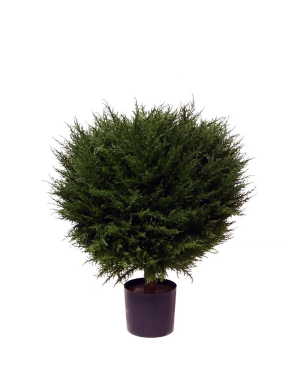 PP4037B - H MINI CYPRESS BALL TREE W/990LVS   (26"D)