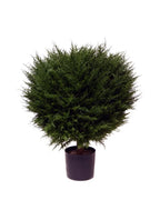 PP4037B - H MINI CYPRESS BALL TREE W/990LVS   (26"D)