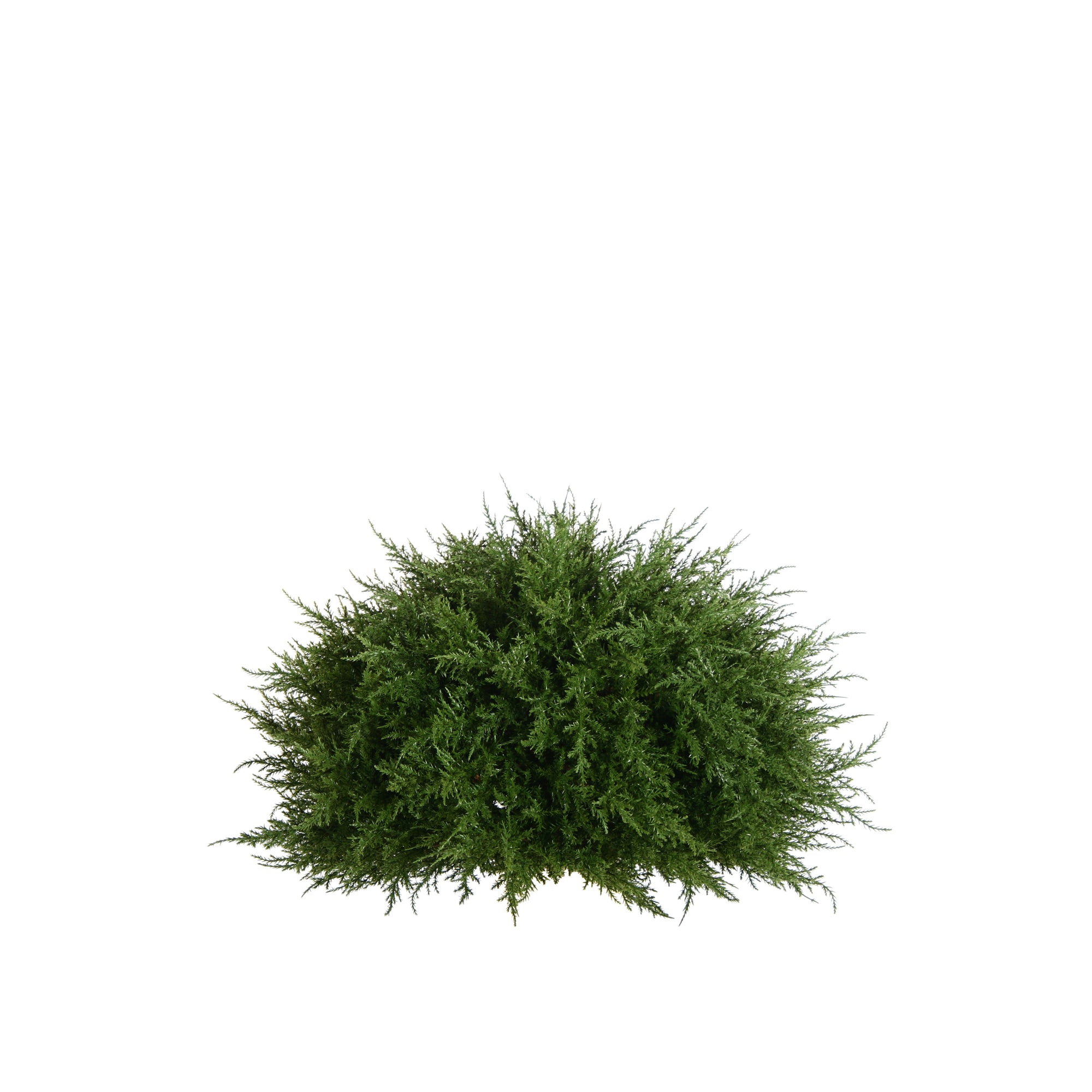 PP4037HB