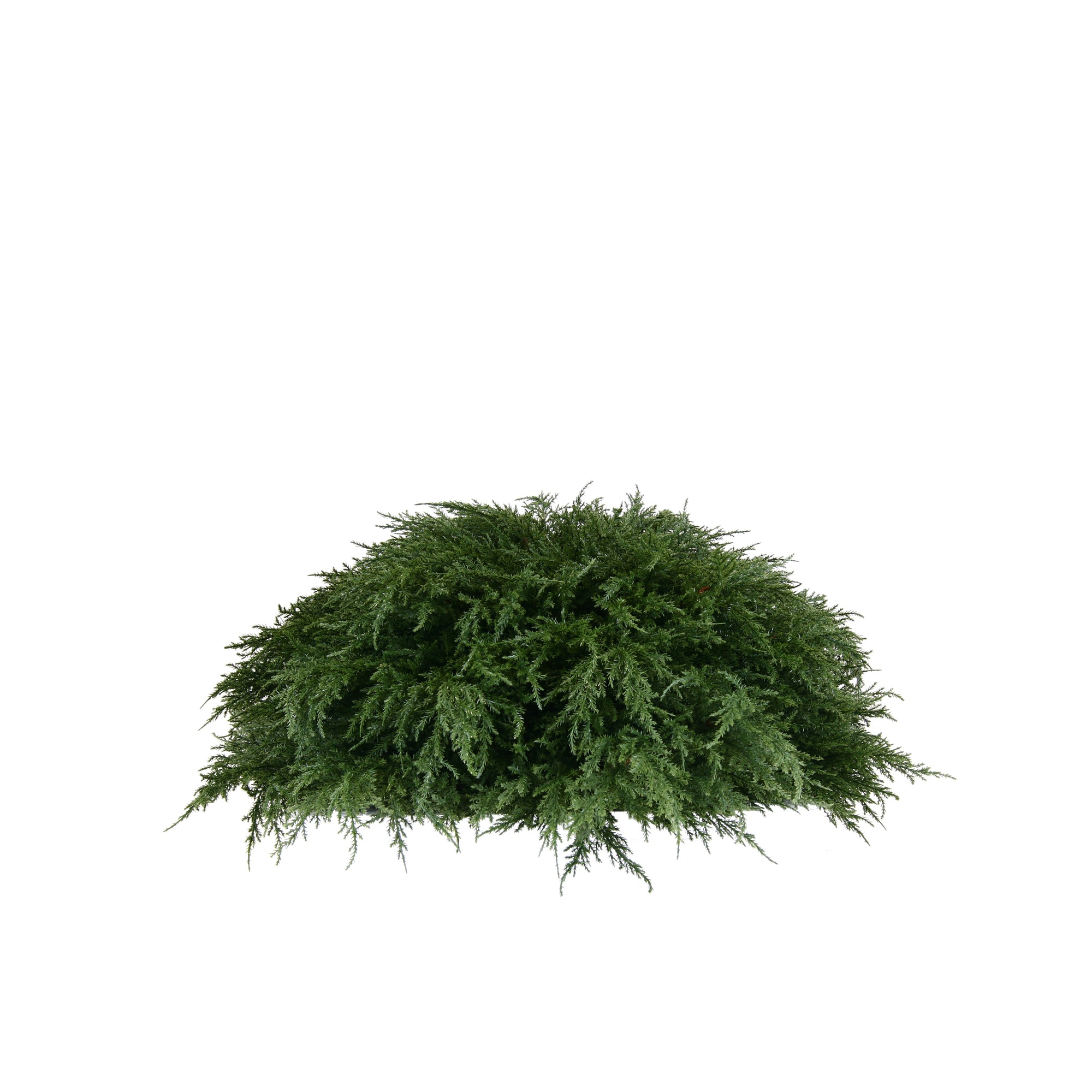 PP4037HB