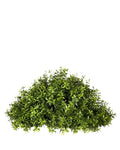 PP4039HB-TEA LEAF HALF BALL