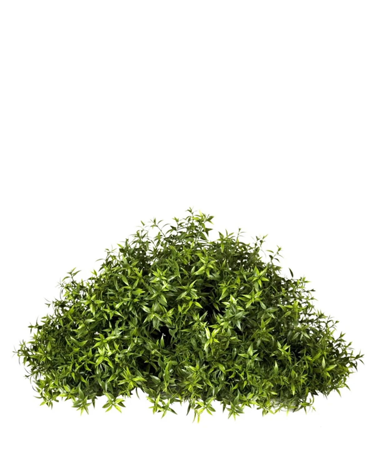 PP4039HB-TEA LEAF HALF BALL