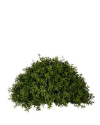 PP4039HB-TEA LEAF HALF BALL