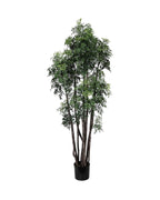 PP4045-MING ARAILIA TREE W/180 CLUSTER LVS (UV/OUTDOOR)