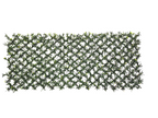 PP4301-EXPANDABLE PODOCARPUS MAT