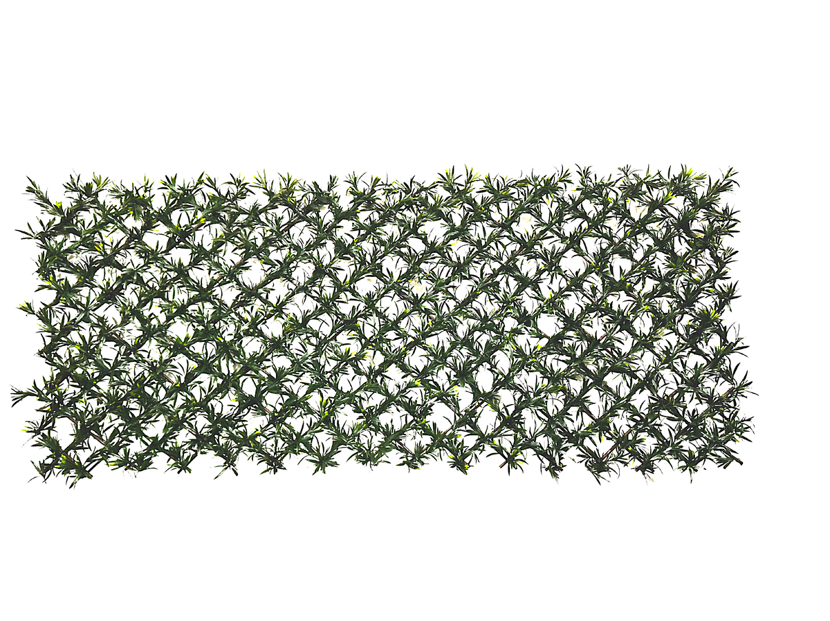 PP4301-EXPANDABLE PODOCARPUS MAT