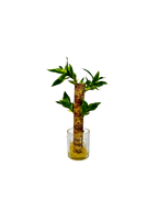 PTP6137-ARTIFICIAL FLOWER