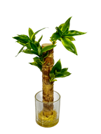 PTP6137-ARTIFICIAL FLOWER