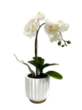 PTP6140-ARTIFICIAL BUTTERFLY ORCHID