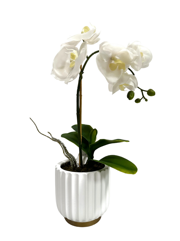 PTP6140-ARTIFICIAL BUTTERFLY ORCHID