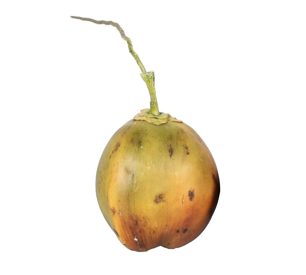 V5008-COCONUT FRUIT
