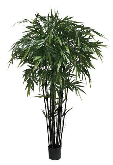 P1379 -  BAMBOO TREE  X12 W/1664LVS