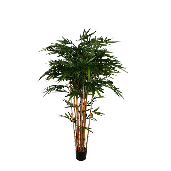 P1379 -  BAMBOO TREE  X12 W/1664LVS