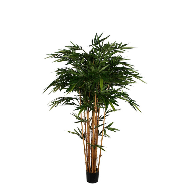 P1379 -  BAMBOO TREE  X12 W/1664LVS