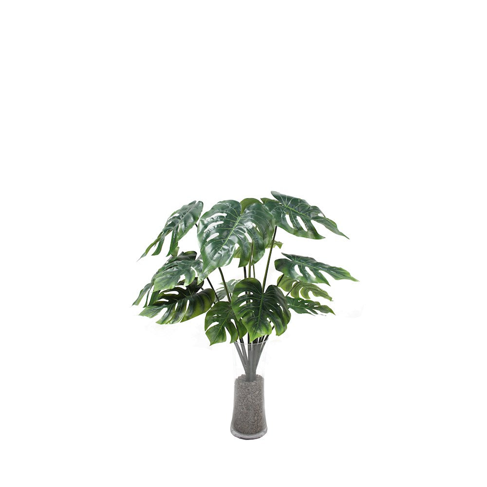 P1483N-UNPTD SPLIT PHILO BUSH