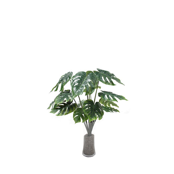 P1483N-UNPTD SPLIT PHILO BUSH
