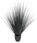 P1517R-NEW GRASS