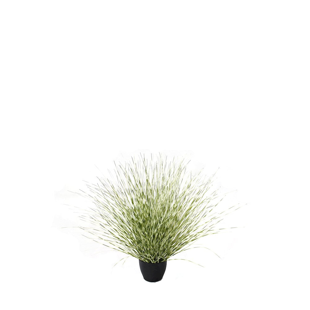 P1519R-ZEBRA RIVER GRASS