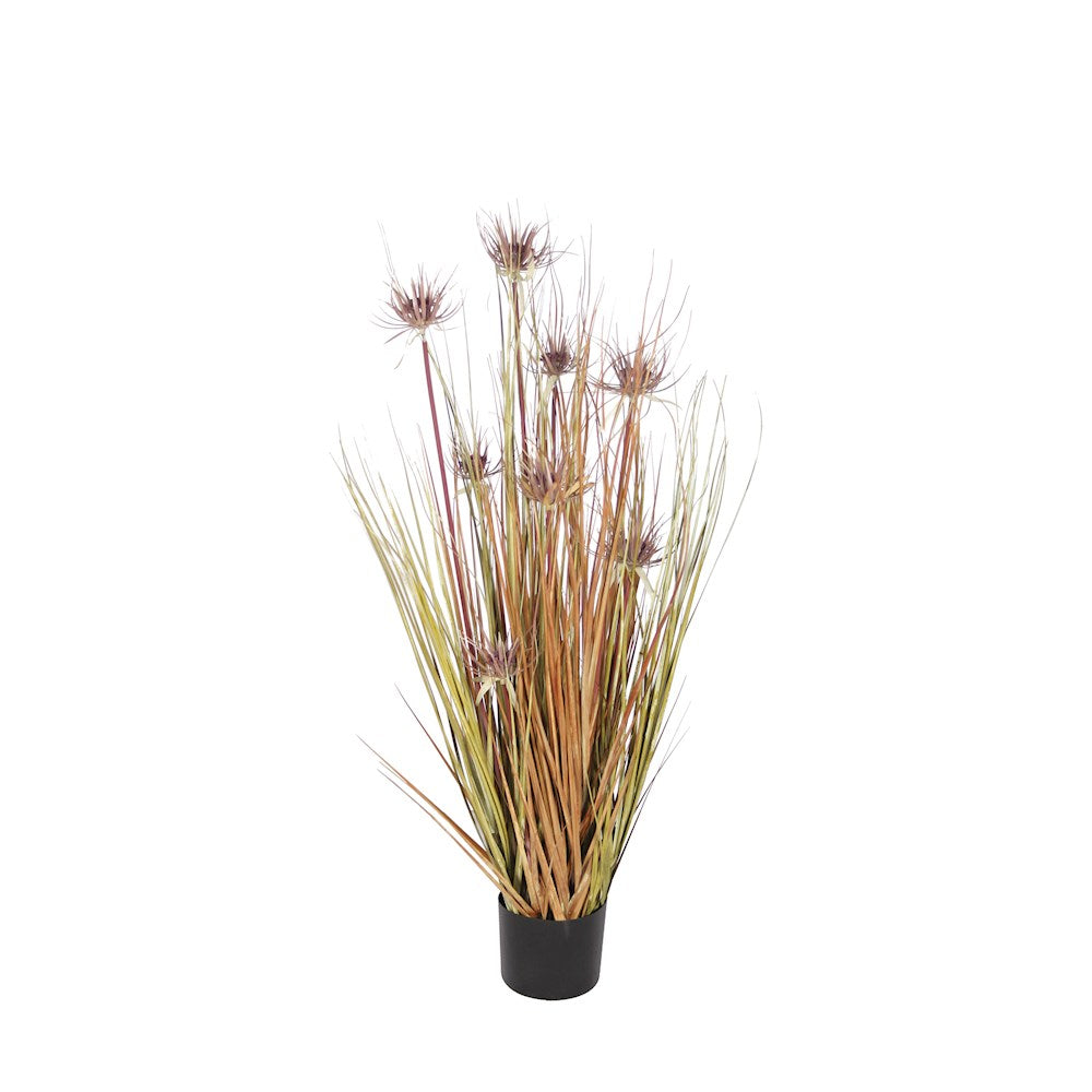 P1520-Sunny Flower Grass