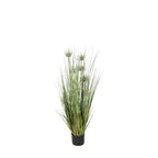 P1520-Sunny Flower Grass