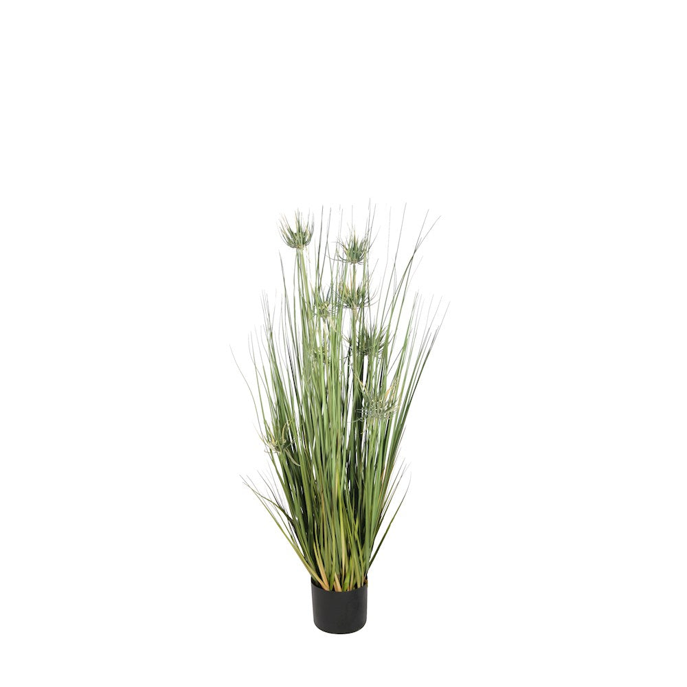 P1520-Sunny Flower Grass