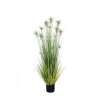 P1520-Sunny Flower Grass