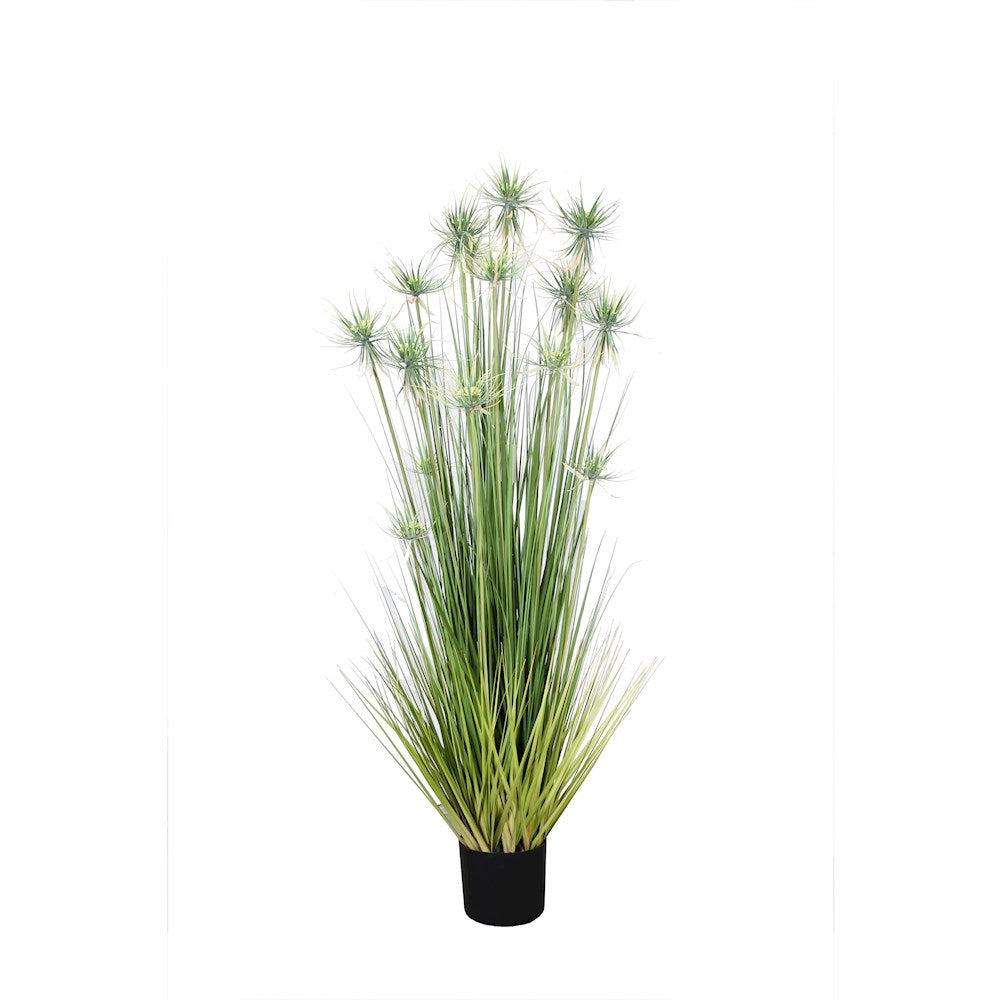 P1520-Sunny Flower Grass