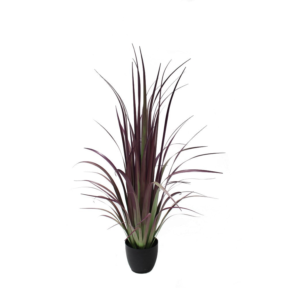 P1524-GLADIOLUS GRASS