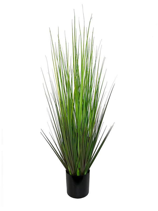 P1532-MOUNTAIN GRASS