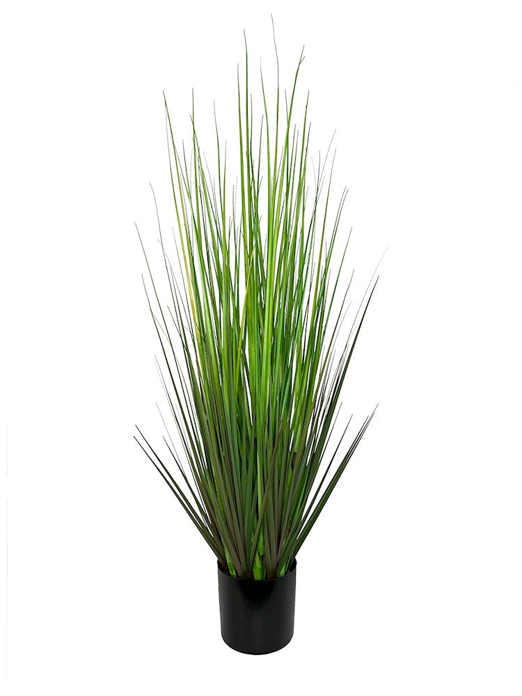 P1532-MOUNTAIN GRASS