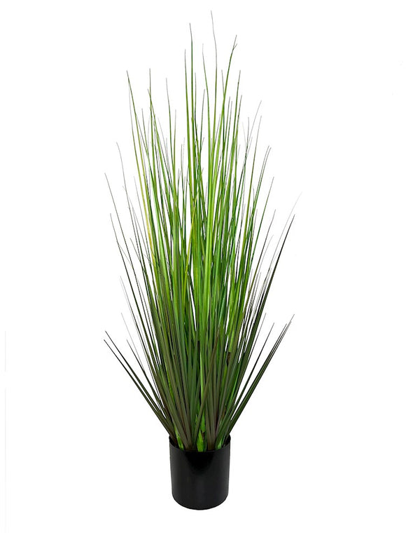 P1532-MOUNTAIN GRASS