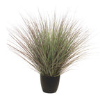 P1540R-RIVER GRASS