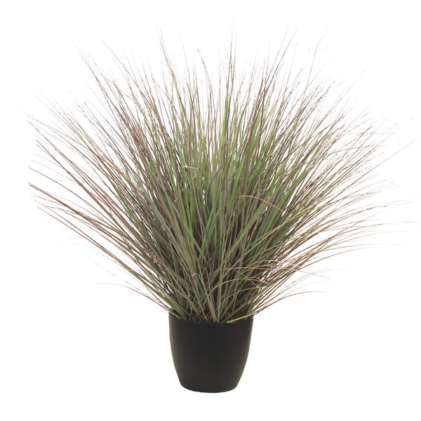 P1540R-RIVER GRASS