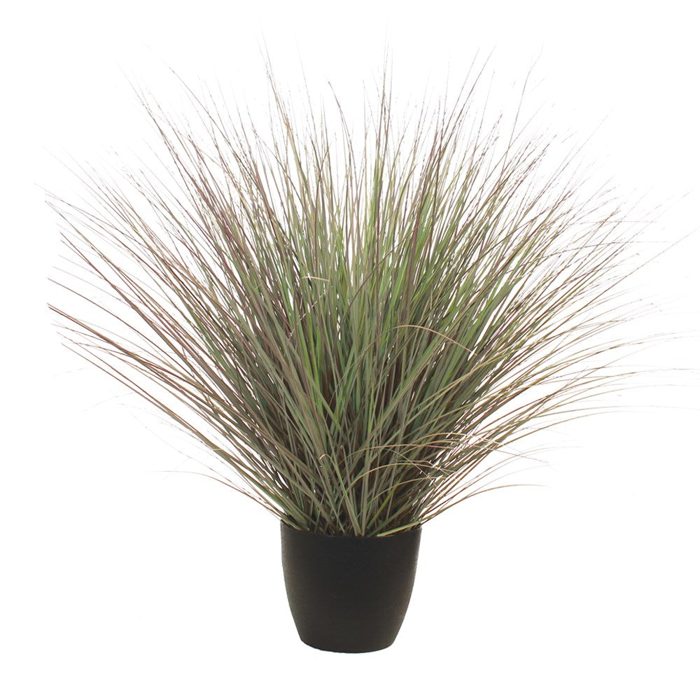 P1540R-RIVER GRASS