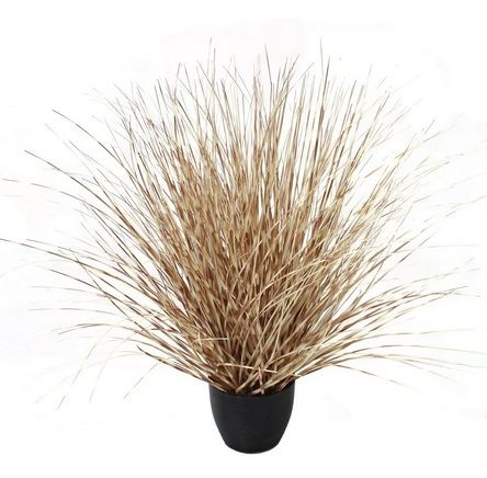 P1541R-LEOPARD RIVER GRASS