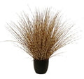 P1541R-LEOPARD RIVER GRASS