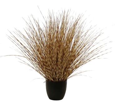 P1541R-LEOPARD RIVER GRASS