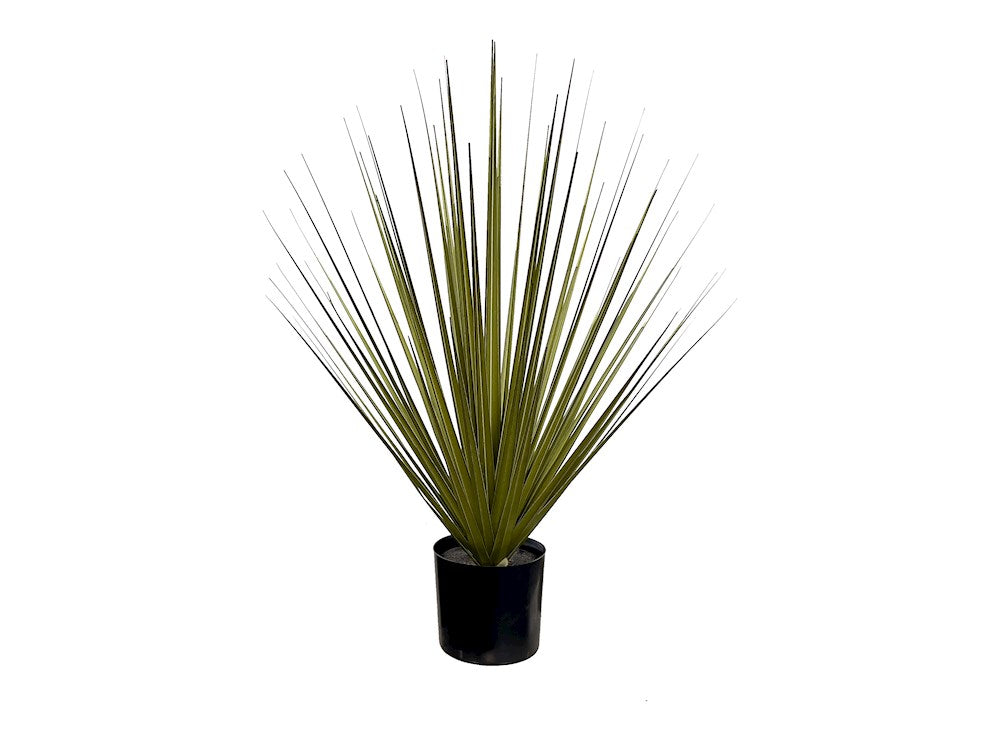 P1545-NEW GRASS BUSH