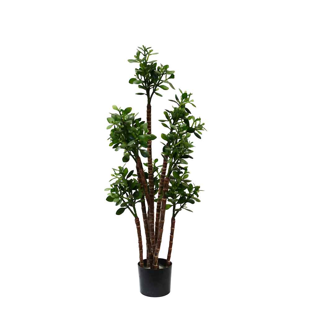 P1603-JADE PLANT