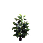 P1601 -  GREEN RUBBER PLANT SPRAY