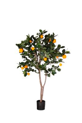 P1610-ORANGE TREE