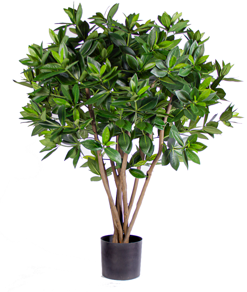 P1719-SWEET LINK TREE