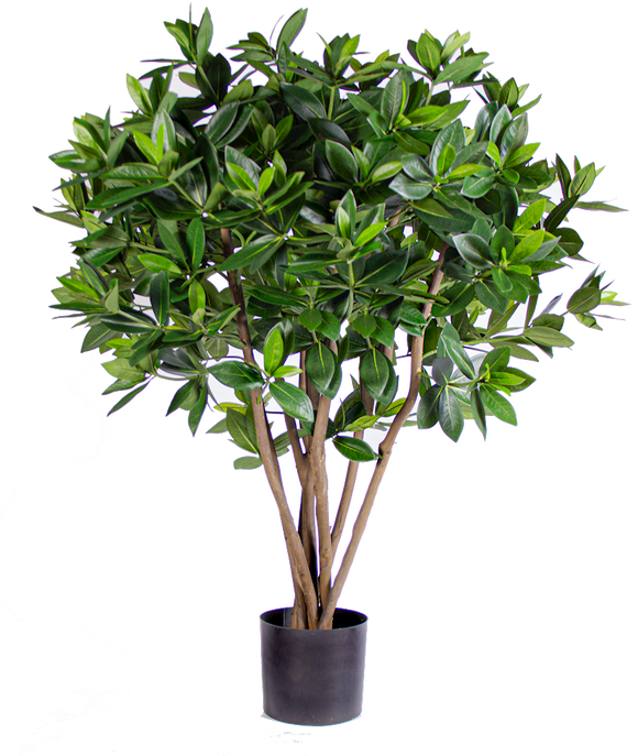 P1719-SWEET LINK TREE
