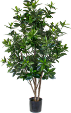 P1719-SWEET LINK TREE