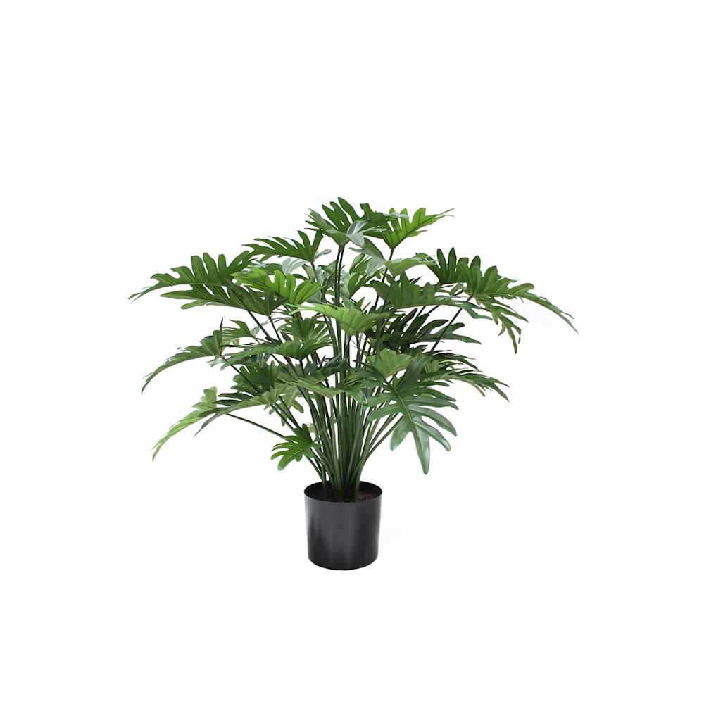 P1782-SPLIT PHILO BUSH