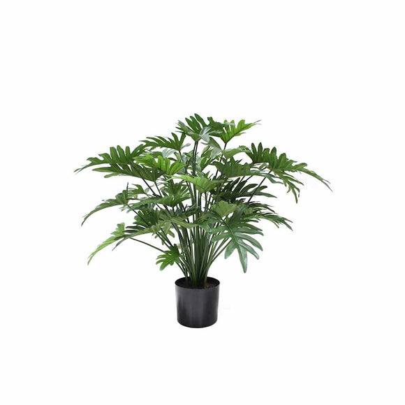 P1782-SPLIT PHILO BUSH