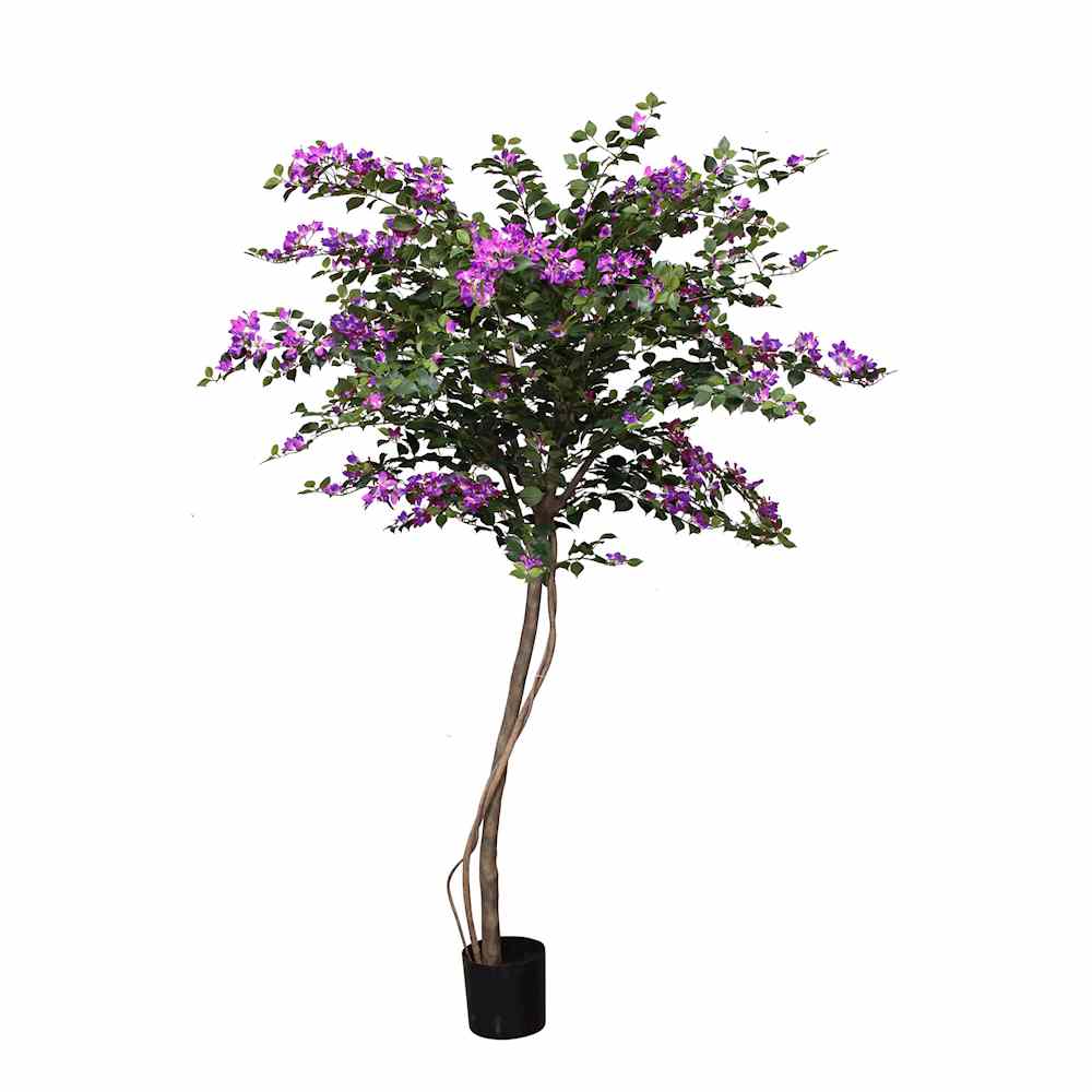 P1790-PTD ASIAN BOUGAINVILLEA TREE W/2940LVS  WH